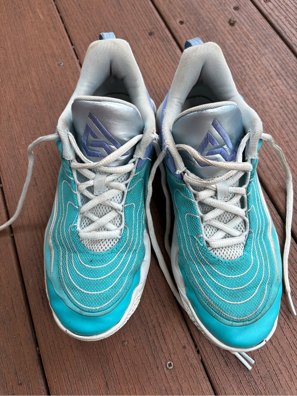 Nike Giannis Sneakers with Silver/Purple Logo